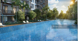 forest-woods photo thumbnail #5